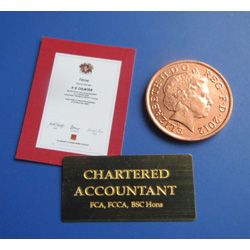 Chartered Accountant plus Certificate
